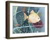 Aquarium I-Fiona Stokes-Gilbert-Framed Giclee Print