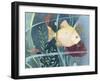 Aquarium I-Fiona Stokes-Gilbert-Framed Giclee Print