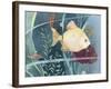 Aquarium I-Fiona Stokes-Gilbert-Framed Giclee Print