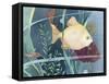 Aquarium I-Fiona Stokes-Gilbert-Framed Stretched Canvas