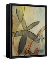 Aquarium II-Kari Taylor-Framed Stretched Canvas