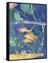 Aquarium II-Fiona Stokes-Gilbert-Framed Stretched Canvas