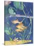 Aquarium II-Fiona Stokes-Gilbert-Stretched Canvas