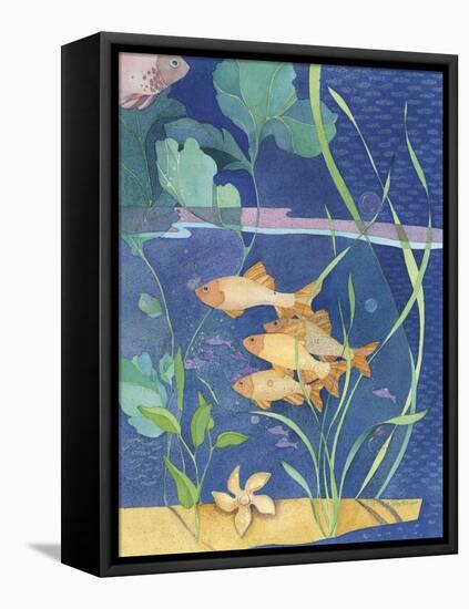 Aquarium II-Fiona Stokes-Gilbert-Framed Stretched Canvas