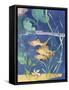 Aquarium II-Fiona Stokes-Gilbert-Framed Stretched Canvas