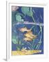 Aquarium II-Fiona Stokes-Gilbert-Framed Giclee Print