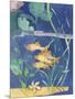 Aquarium II-Fiona Stokes-Gilbert-Mounted Giclee Print