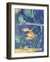 Aquarium II-Fiona Stokes-Gilbert-Framed Giclee Print