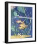 Aquarium II-Fiona Stokes-Gilbert-Framed Giclee Print