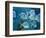 Aquarium, Oceanographic Institute, Monaco-Veille, Monaco-Ethel Davies-Framed Photographic Print