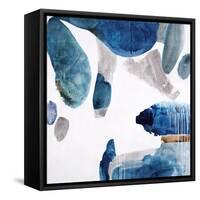 Aquarium Pebbles-Clayton Rabo-Framed Stretched Canvas