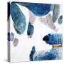 Aquarium Pebbles-Clayton Rabo-Stretched Canvas