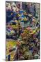 Aquarium Tropical Fish on A Coral Reef-bloodua-Mounted Photographic Print