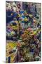 Aquarium Tropical Fish on A Coral Reef-bloodua-Mounted Photographic Print