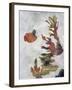 Aquarium Variation I-Kari Taylor-Framed Giclee Print