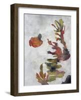 Aquarium Variation I-Kari Taylor-Framed Giclee Print