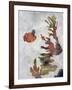 Aquarium Variation I-Kari Taylor-Framed Giclee Print