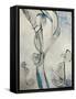 Aquarium VI-Kari Taylor-Framed Stretched Canvas