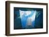 Aquarium-Philippe Sainte-Laudy-Framed Photographic Print