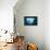 Aquarium-Philippe Sainte-Laudy-Framed Stretched Canvas displayed on a wall