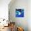 Aquarium-Anne Storno-Giclee Print displayed on a wall