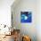 Aquarium-Anne Storno-Mounted Giclee Print displayed on a wall