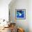 Aquarium-Anne Storno-Framed Giclee Print displayed on a wall