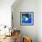 Aquarium-Anne Storno-Framed Giclee Print displayed on a wall