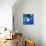 Aquarium-Anne Storno-Mounted Giclee Print displayed on a wall