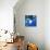 Aquarium-Anne Storno-Stretched Canvas displayed on a wall