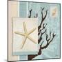 Aquarius Blue Sq III-Paul Brent-Mounted Art Print