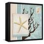 Aquarius Blue Sq III-Paul Brent-Framed Stretched Canvas