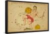 Aquarius Constellation, Zodiac Sign, 1825-Science Source-Framed Stretched Canvas