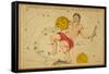 Aquarius Constellation, Zodiac Sign, 1825-Science Source-Framed Stretched Canvas