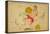 Aquarius Constellation, Zodiac Sign, 1825-Science Source-Stretched Canvas