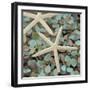 Aquatic 1-Alan Blaustein-Framed Photographic Print