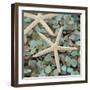 Aquatic 1-Alan Blaustein-Framed Premium Photographic Print