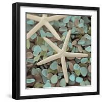 Aquatic 1-Alan Blaustein-Framed Premium Photographic Print