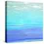 Aquatic Abstract-Dan Meneely-Stretched Canvas