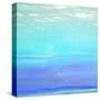 Aquatic Abstract-Dan Meneely-Stretched Canvas