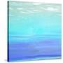 Aquatic Abstract-Dan Meneely-Stretched Canvas