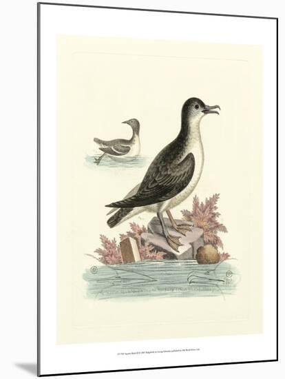 Aquatic Birds III-George Edwards-Mounted Art Print