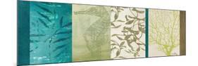 Aquatic Bliss II-Elizabeth Medley-Mounted Premium Giclee Print