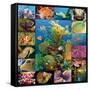 Aquatic Collage-Encyclopaedia Britannica-Framed Stretched Canvas