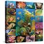 Aquatic Collage-Encyclopaedia Britannica-Stretched Canvas