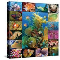 Aquatic Collage-Encyclopaedia Britannica-Stretched Canvas