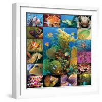 Aquatic Collage-Encyclopaedia Britannica-Framed Art Print