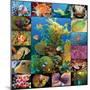 Aquatic Collage-Encyclopaedia Britannica-Mounted Art Print