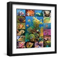 Aquatic Collage-Encyclopaedia Britannica-Framed Art Print