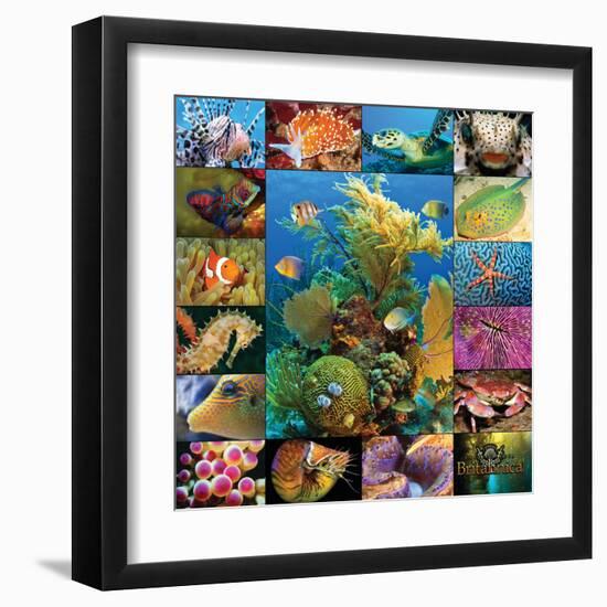 Aquatic Collage-Encyclopaedia Britannica-Framed Art Print